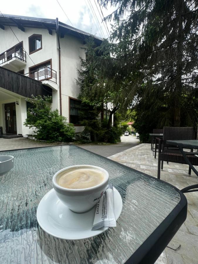 Chalet Minut Ватра-Дорней Екстер'єр фото